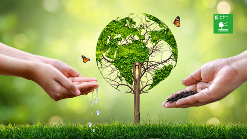 2023年6〜11月分 森林保全への寄付のご報告