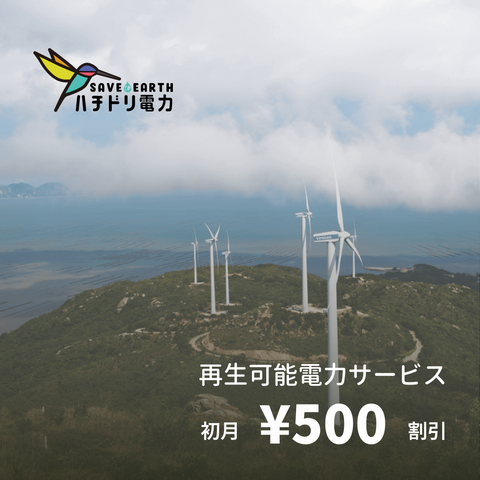 A power service that uses 100% CO2-free natural energy.